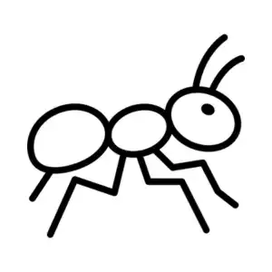 Ant pest control treatment by GAM Exterminating Services