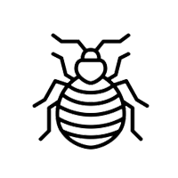 Bed bug extermination and treatment by GAM Exterminating Services