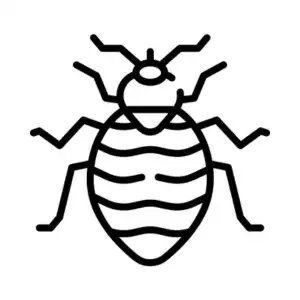 Bed bug extermination and treatment by GAM Exterminating Services