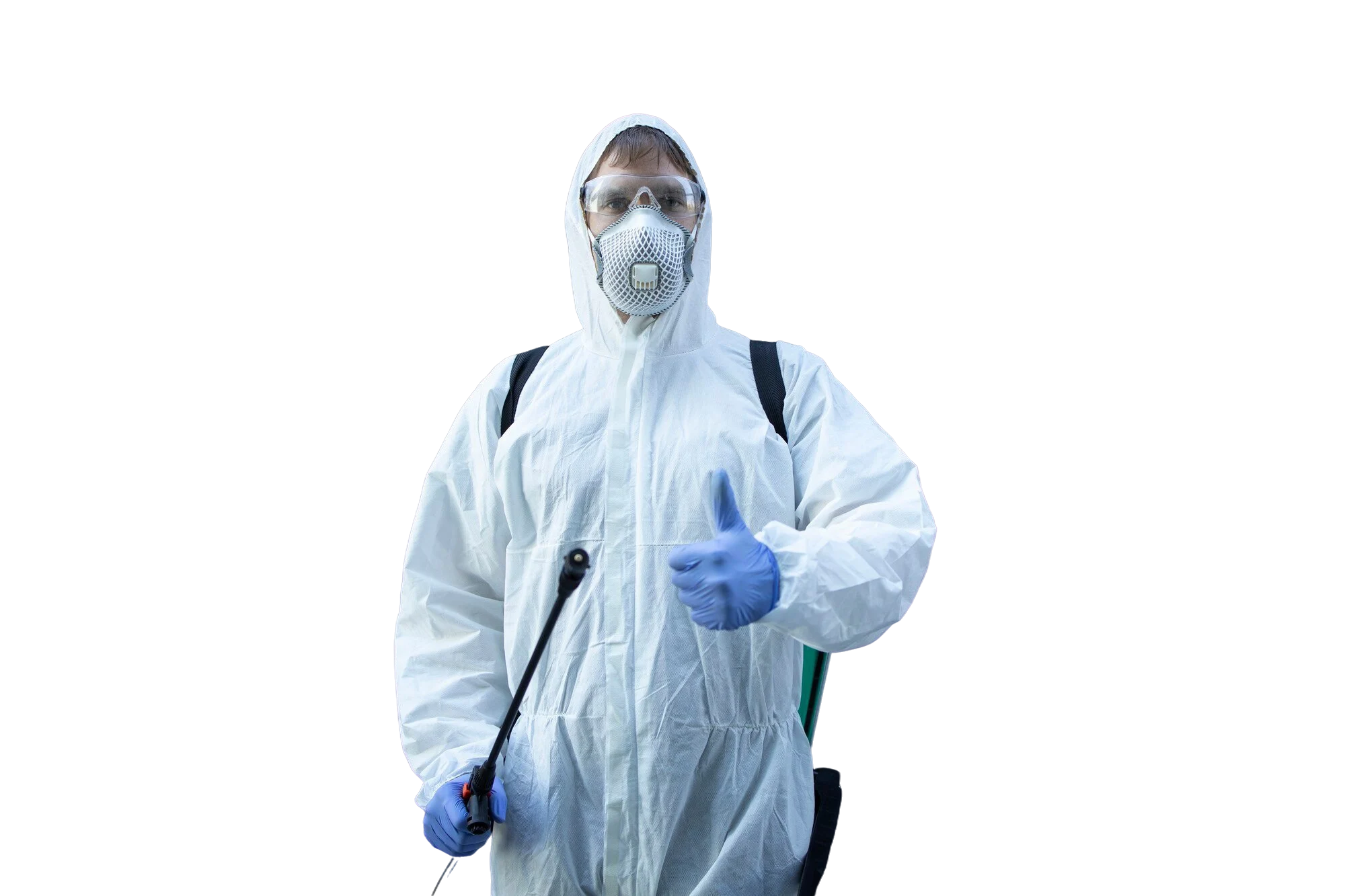 Pest control services  by GAM Exterminating Services