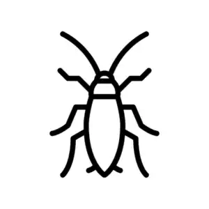 Cockroach pest control and extermination by GAM Exterminating Services