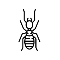 Termite control and treatment by GAM Exterminating Services